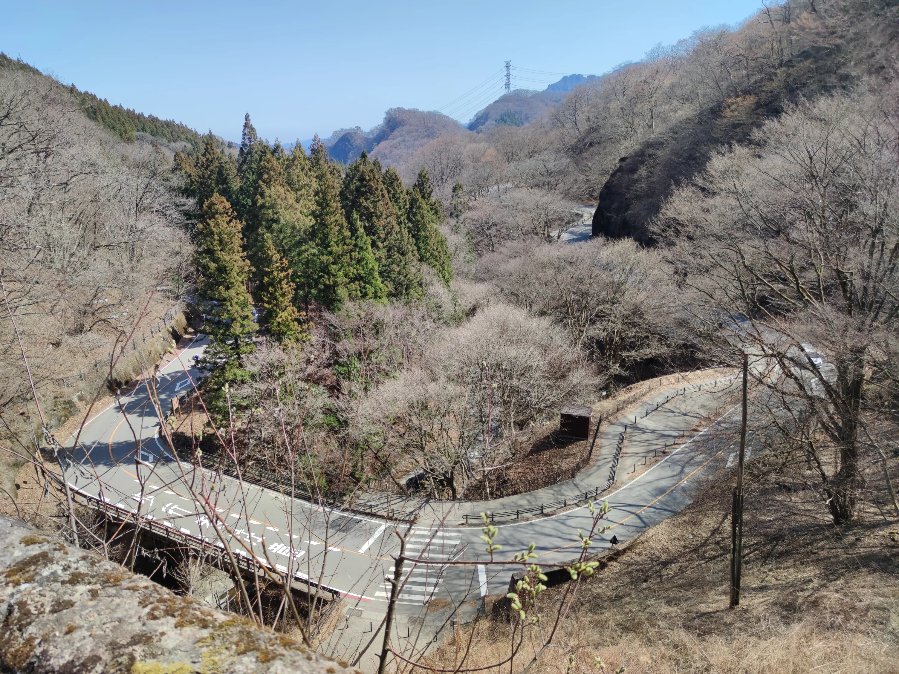 山間部を急カーブで抜けるワインディングロードの俯瞰。常緑樹の森と、葉の落ちた木々が広がる山肌。
